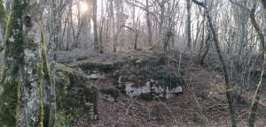 Mont-Roland et pèlerinage apaisant dans les bois - JEAN CLAUDE - 2