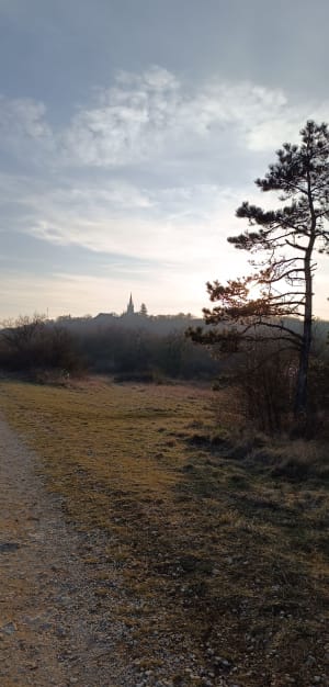 Mont-Roland et pèlerinage apaisant dans les bois - JEAN CLAUDE - 3