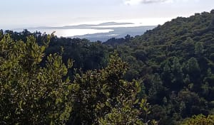 Haut de Collobrières - Jean-Yves - 7
