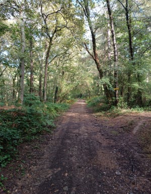 Parcours 2 Oursbelille - Oursbelille - 12