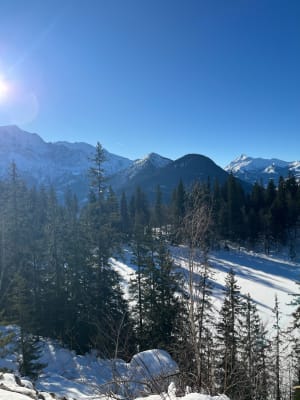 Boucle du lac Vert légendaire et forêt féerique - Plaine Joux - 37