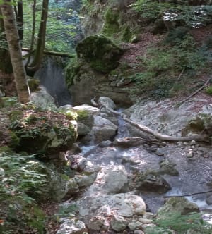 En dessous du Belvédère Vertige des Cimes - Noyarey - 6