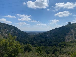 Le Bois de Paris : sa grotte et sa table d’orientation - Garrigues - 14