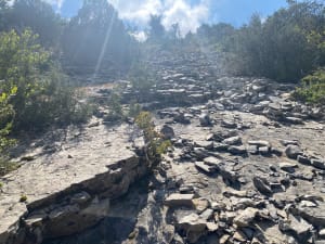 Le Bois de Paris : sa grotte et sa table d’orientation - Garrigues - 15
