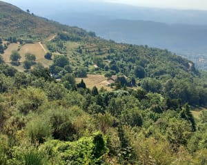 Boucle depuis Tourrettes-sur-Loup et panorama grandiose - Tourrettes-sur-Loup - 13