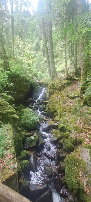 Cascade du Stolz Ablass, sentier des Mulets - Stosswihr - 12