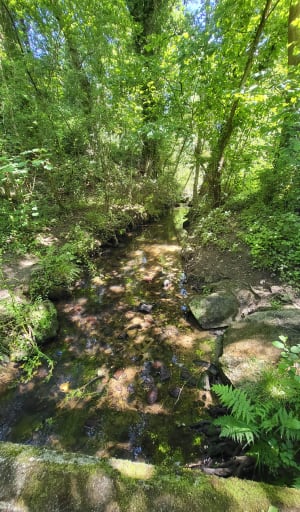 Promenade dans la vallée du Lude - Carolles - 29