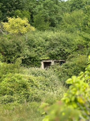 Sentier souvenir du mont Canisy et panorama marin - Benerville-sur-Mer - 9
