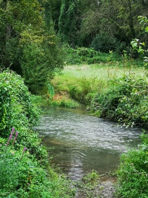 Autour de Presles en Brie - Presles-en-Brie - 10