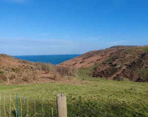 Balade au Tilleul avec magnifique panorama - Le Tilleul - 17