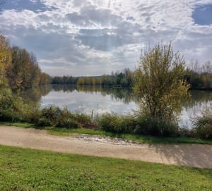Trésors lacustres de Pélissier et Passeligne et balade à Boé - Boé - 5