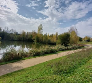 Trésors lacustres de Pélissier et Passeligne et balade à Boé - Boé - 6