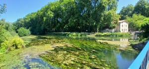 Boucle de Coulon et les Marais Poitevin à Vélo - Coulon - 7