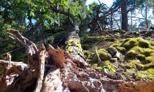 Trail Rocher Hercule - Hashtag - 7