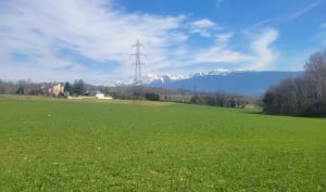 Etang de Haute-Jarrie et réserve naturelle près d'Echirolles - Jarrie - 15