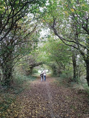 Promenade dans la campagne de Pencran - Pencran - 2