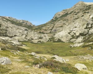 Bastelica en de rauwe schoonheid van het Ese-plateau - Bastelica - 41