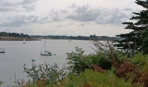 Île-aux-Moines, La pointe du Trec'h - Île-aux-Moines - 21