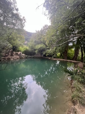 Balade dans le vallon sauvage du Tiourre, sa source et son moulin - Vallon-Pont-d'Arc - 4