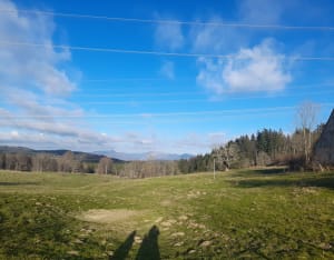Randonnée entre forêt et alpage au Plateau du Retord - rosine - 2