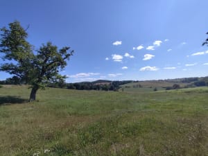 Paysages bucoliques autour du village d'Omps - Omps - 5