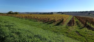 Vianne, une bastide sur la Baïse - Montgaillard (Vianne) - 7