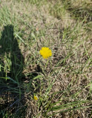 Petite balade par Sainte-Martine - Coursan - 6