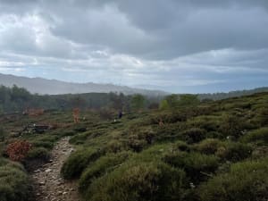 Cuscionu-plateau, tot aan de schaapskooi I Croci - Zicavo - 21