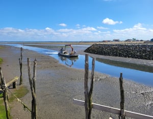 A vélo à Gujan-Mestras et jusqu'au port de la Mole - Gujan-Mestras - 2