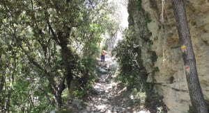 Jolie petite rando Venasque le Beaucet - Venasque - 6