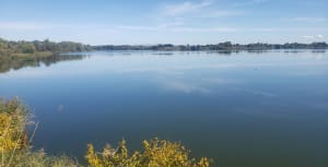 De Elzenvijver - Saint-Martin-de-Crau - 4