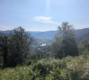 Côte de Fraine depuis les Graviers - Saulxures-sur-Moselotte - 17