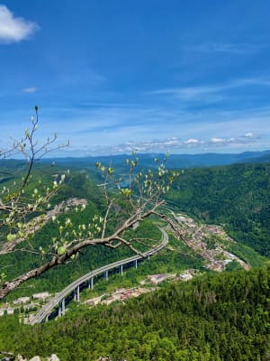 Monts d’Ain et tour du plateau de Chamoise - Saint-Martin-du-Frêne - 7
