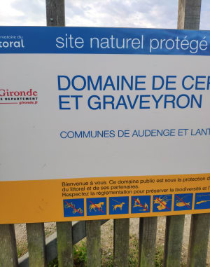 Fais comme l'oiseau de Biganos à VTC - Valentin - 3