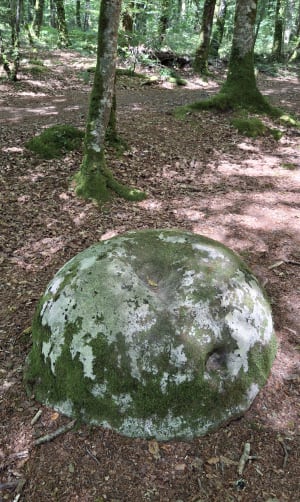 Balade dans la forêt domaniale de Clohars Carnoët - Quimperlé - 10