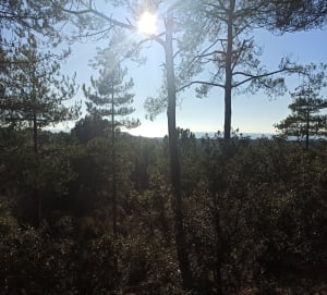 Sentier d'éole - Saint-Jean-de-Monts - 16