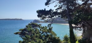 Balade cool de la pointe du château en passant par la ville. - Perros-Guirec - 33