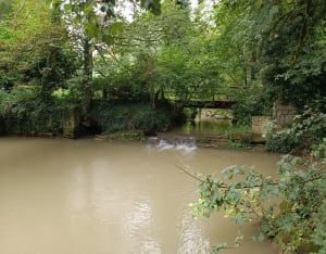 Boucle agréable autour de Mauperthuis - Mauperthuis - 2