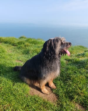 Wandeltocht langs de kust en de Aiguille de Belval - Bénouville - 42