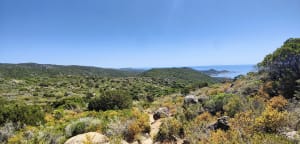Superbe randonnée à Campomoro - Belvédère-Campomoro - 4