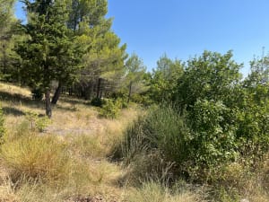 Dans les hauteurs de Cadenet - Cadenet - 5