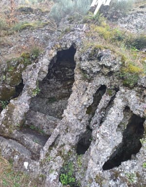 Pays du Gier, boucle de Valfleury et la Croix Blanche - Cellieu - 12