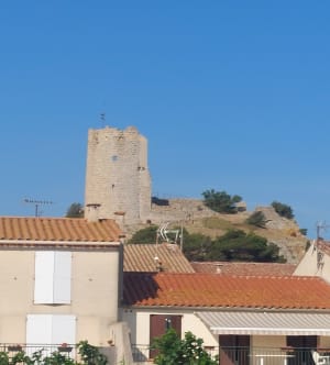 GRUISSAN des Aygades aux Cabanes des pêcheurs et les Salins - Gruissan - 7