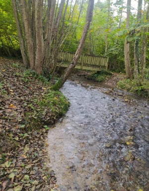 Sentier de Crémanfleur - La Rivière-Saint-Sauveur - 5