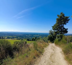 Balade décontractante à 1300 mètres d'altitude près d'Estables - Monts-de-Randon - 4