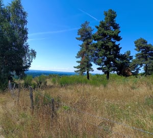 Balade décontractante à 1300 mètres d'altitude près d'Estables - Monts-de-Randon - 6