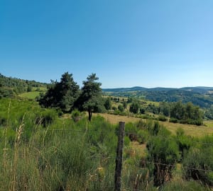Balade décontractante à 1300 mètres d'altitude près d'Estables - Monts-de-Randon - 7