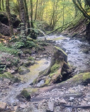 Les Dioux et la cascade des Dioux - Saint Hilaire du Touvet - 15