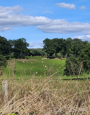 Balade tranquille dans le Vexin - Le Heaulme - 2