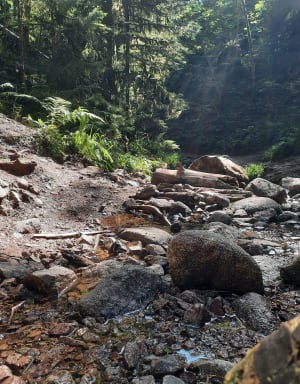 Echappée en forêt de Gérardmer et cascades mélodieuses - Gérardmer - 61